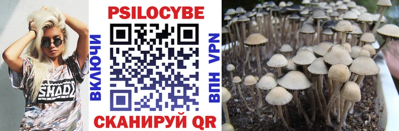что такое наркотик  Верхний Тагил  Псилоцибиновые грибы Magic Shrooms 